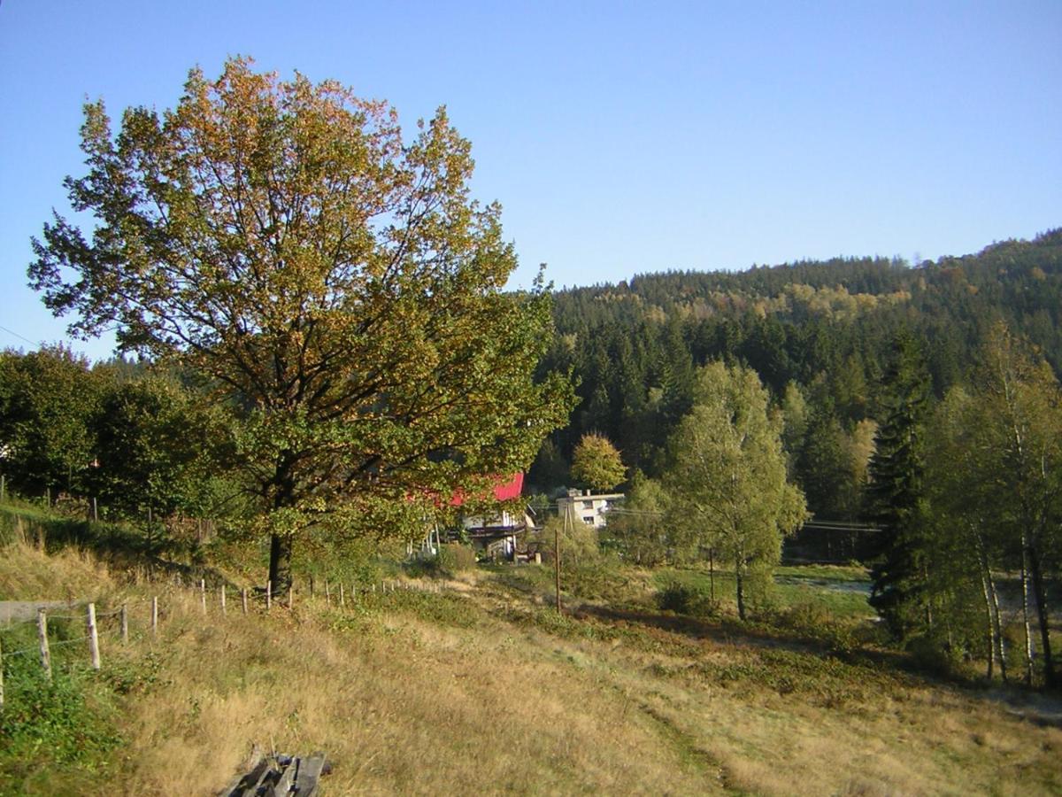 Pokoje Goscinne Angelika Wisła Esterno foto